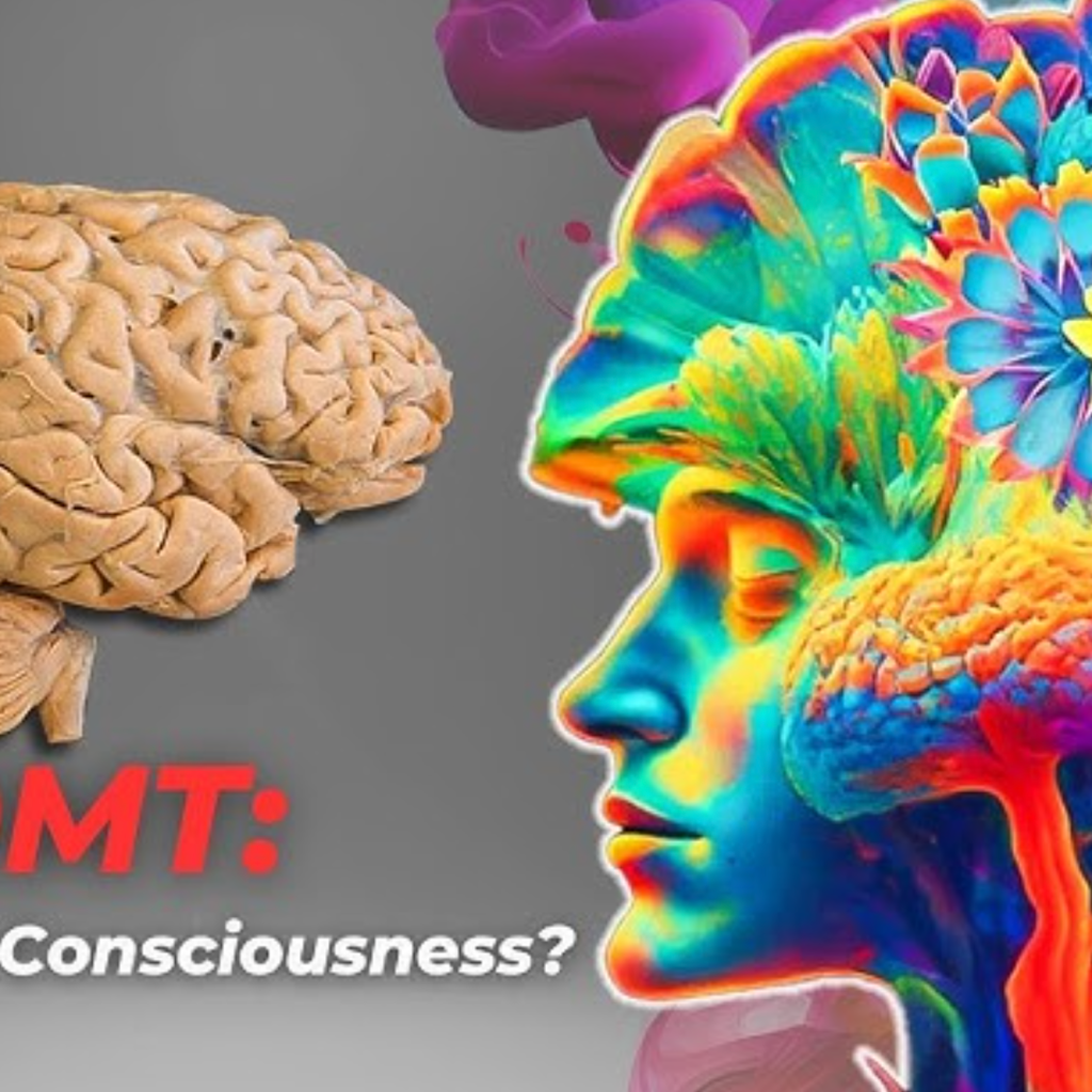 What Does DMT Do to Your Brain