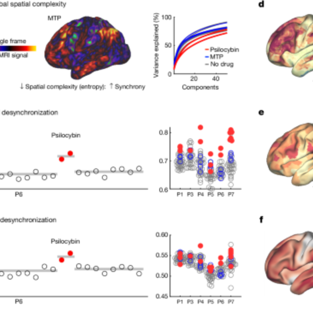 What Does DMT Do to Your Brain