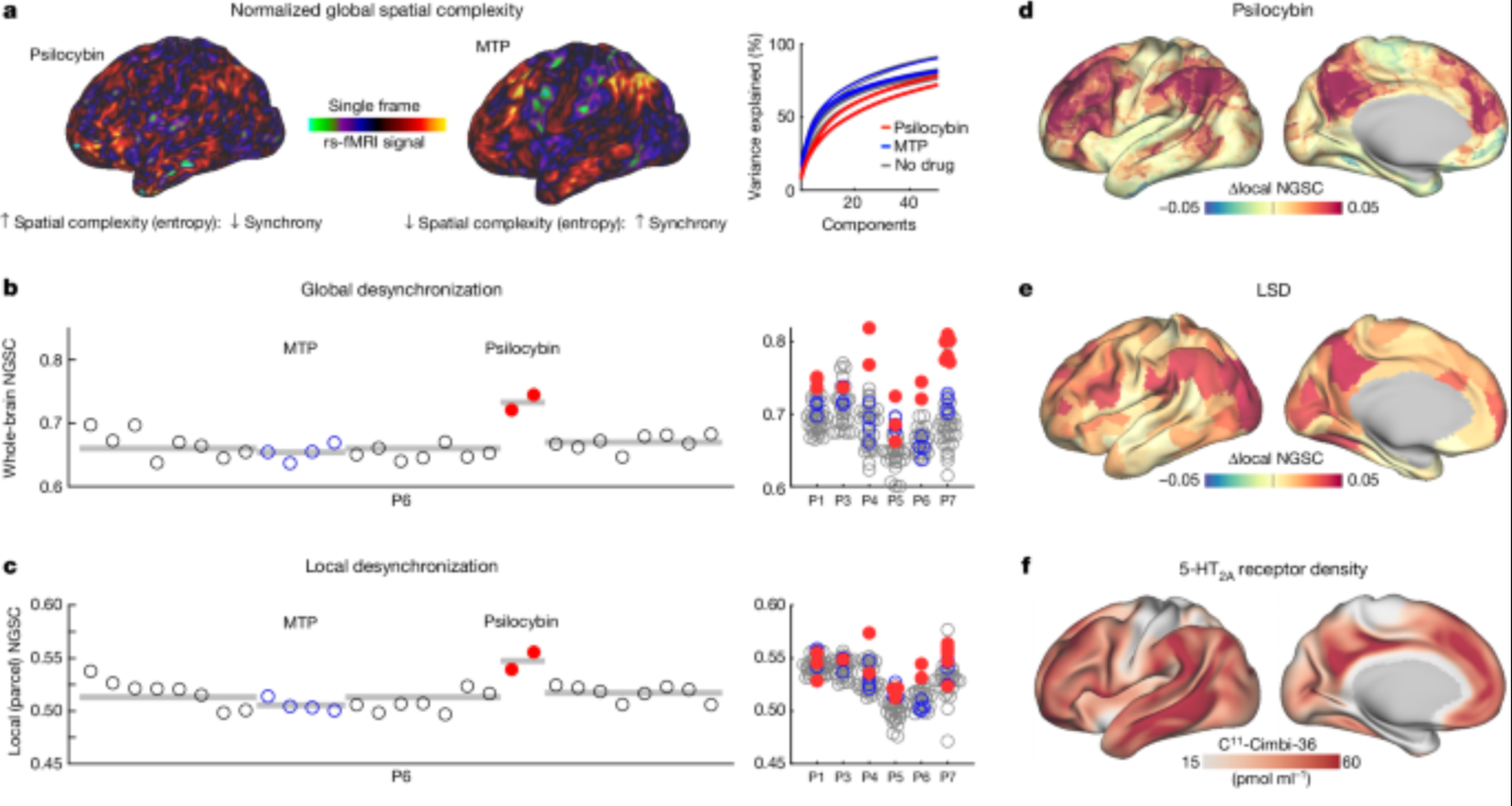 What Does DMT Do to Your Brain