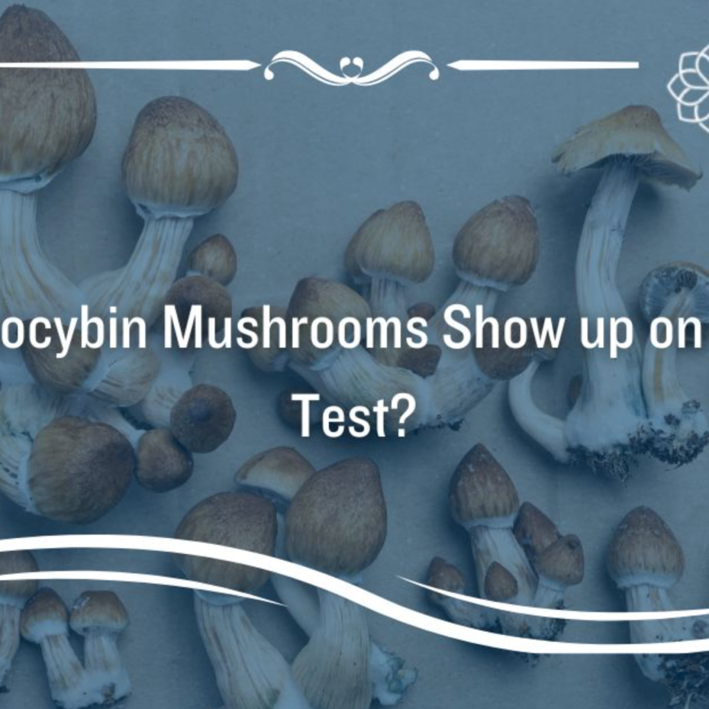 Can Magic Mushrooms Show Up on a Drug Test