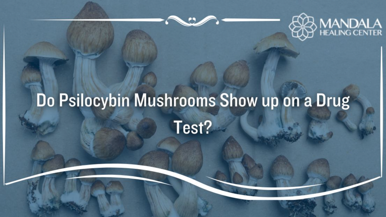 Can Magic Mushrooms Show Up on a Drug Test