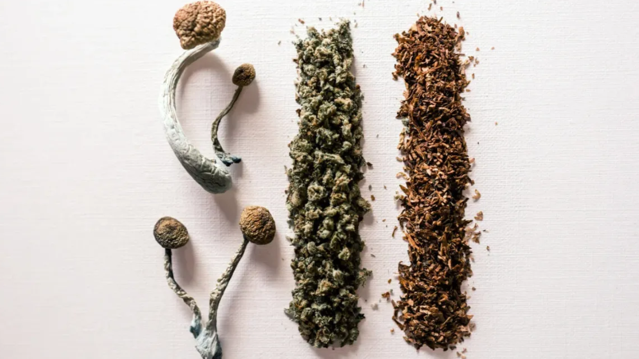 Can You Smoke Magic Mushrooms? Risks, Effects, Facts
