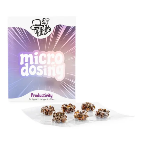 Mush Magic Productivity Microdosing Pack